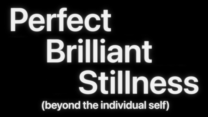 Perfect Brilliant Stillness cover image
