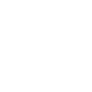 The Empty Robot